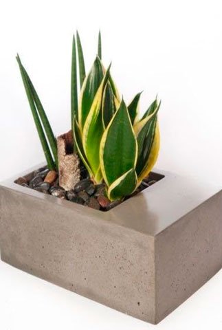 Adoquinarte | Macetones